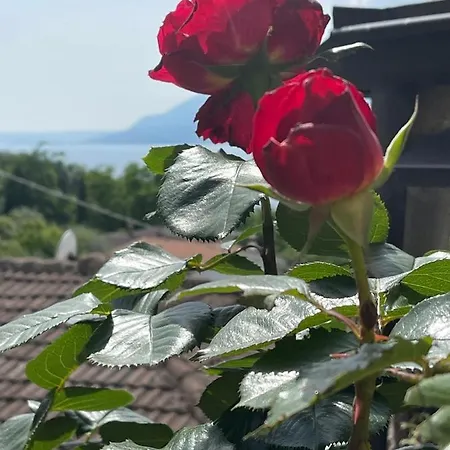 Le Due Terrazze Brenzone sul Garda
